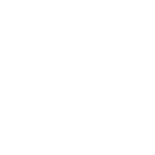 Capycar Store House